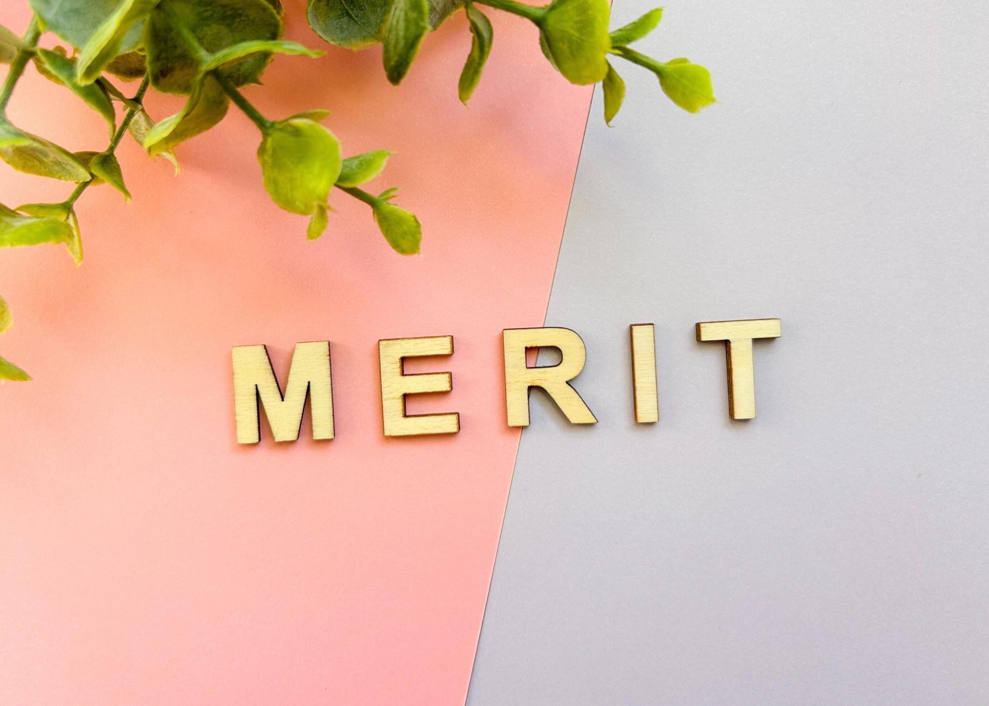MERIT