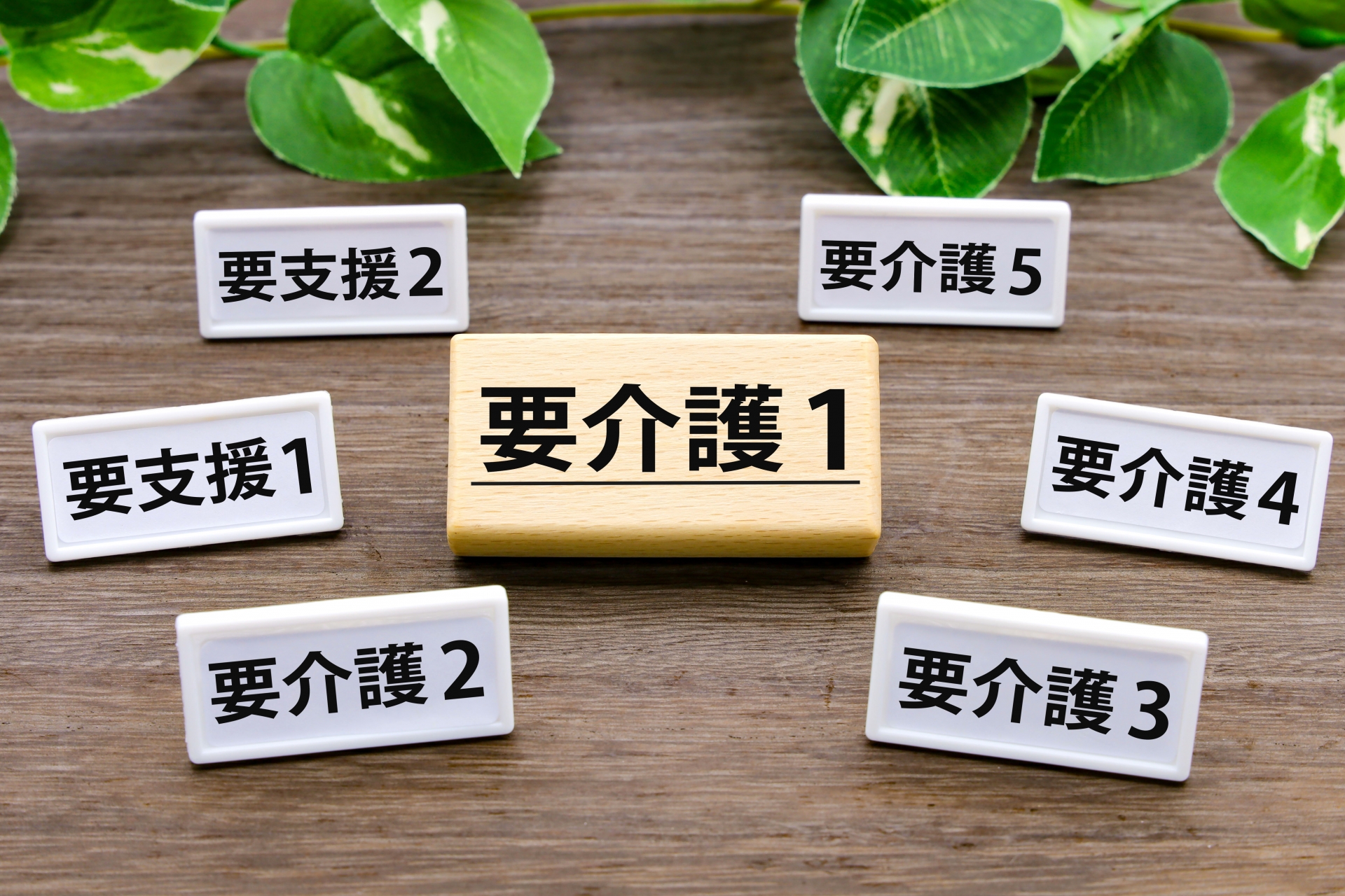 要介護認定