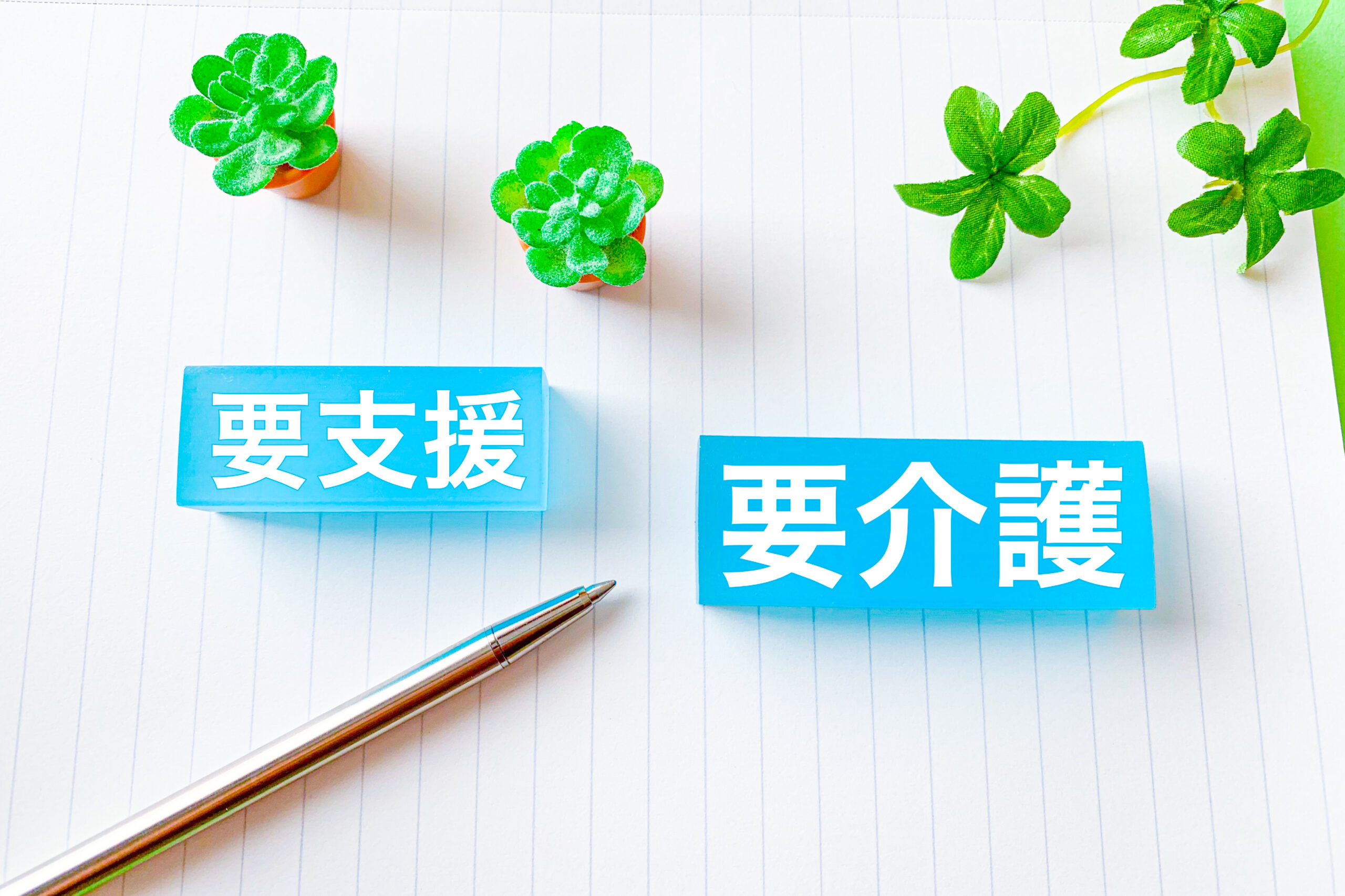 介護認定