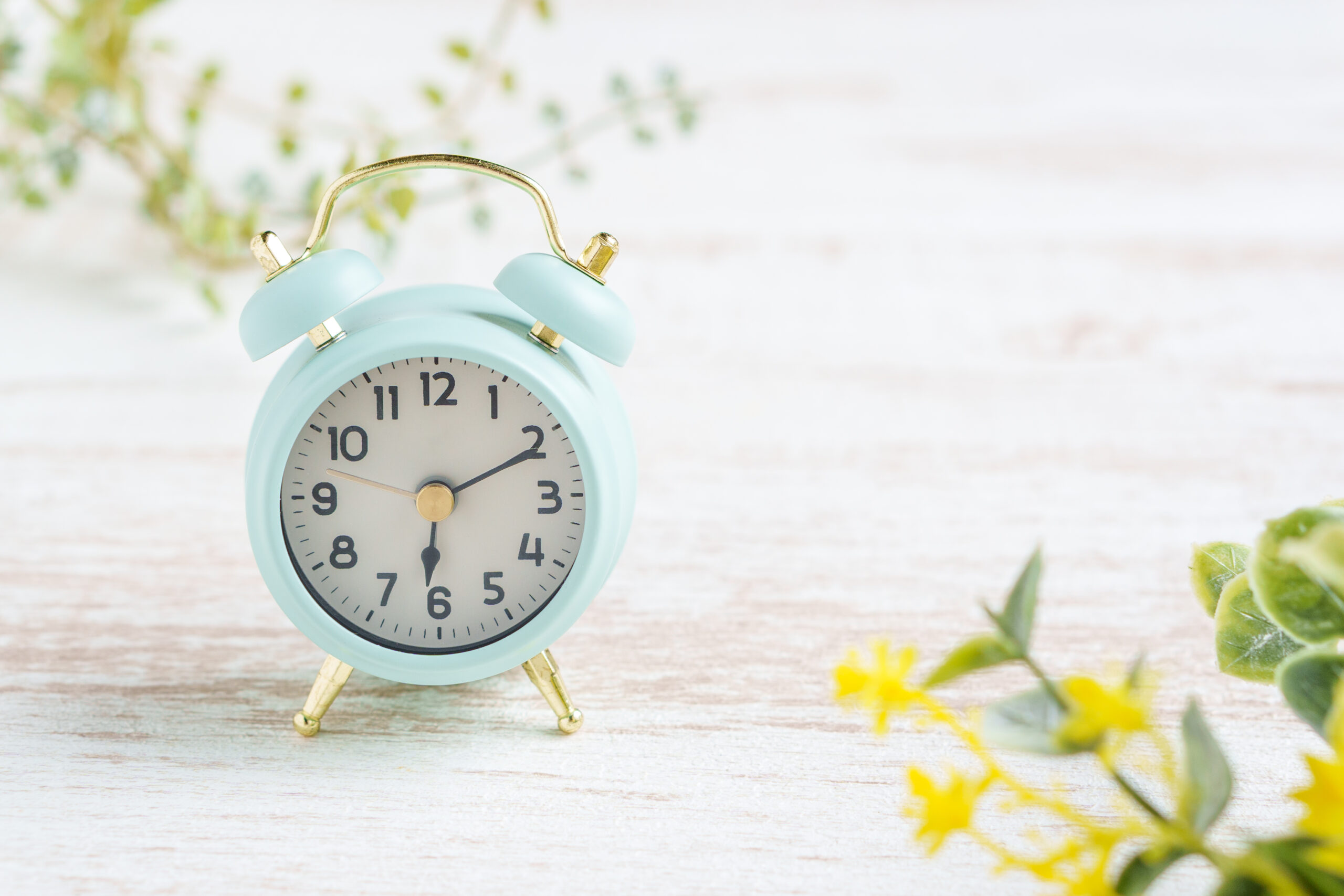 ツインベルの目覚まし時計とグリーン