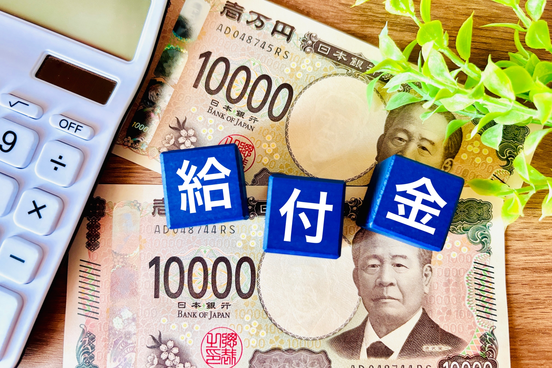 給付金