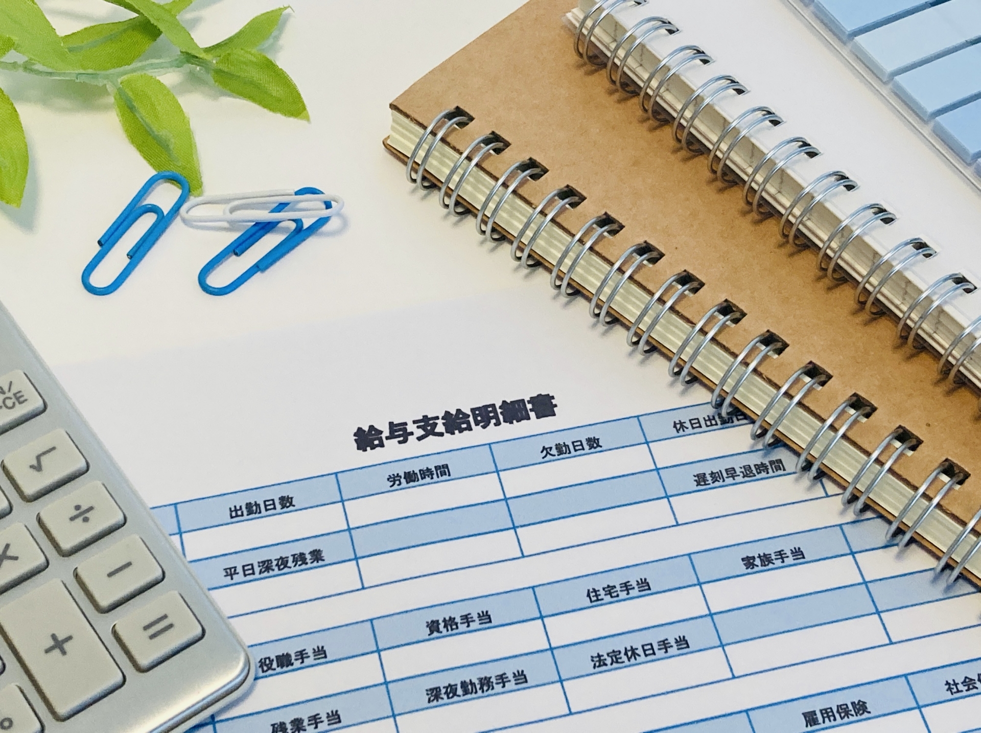 給与支給明細書