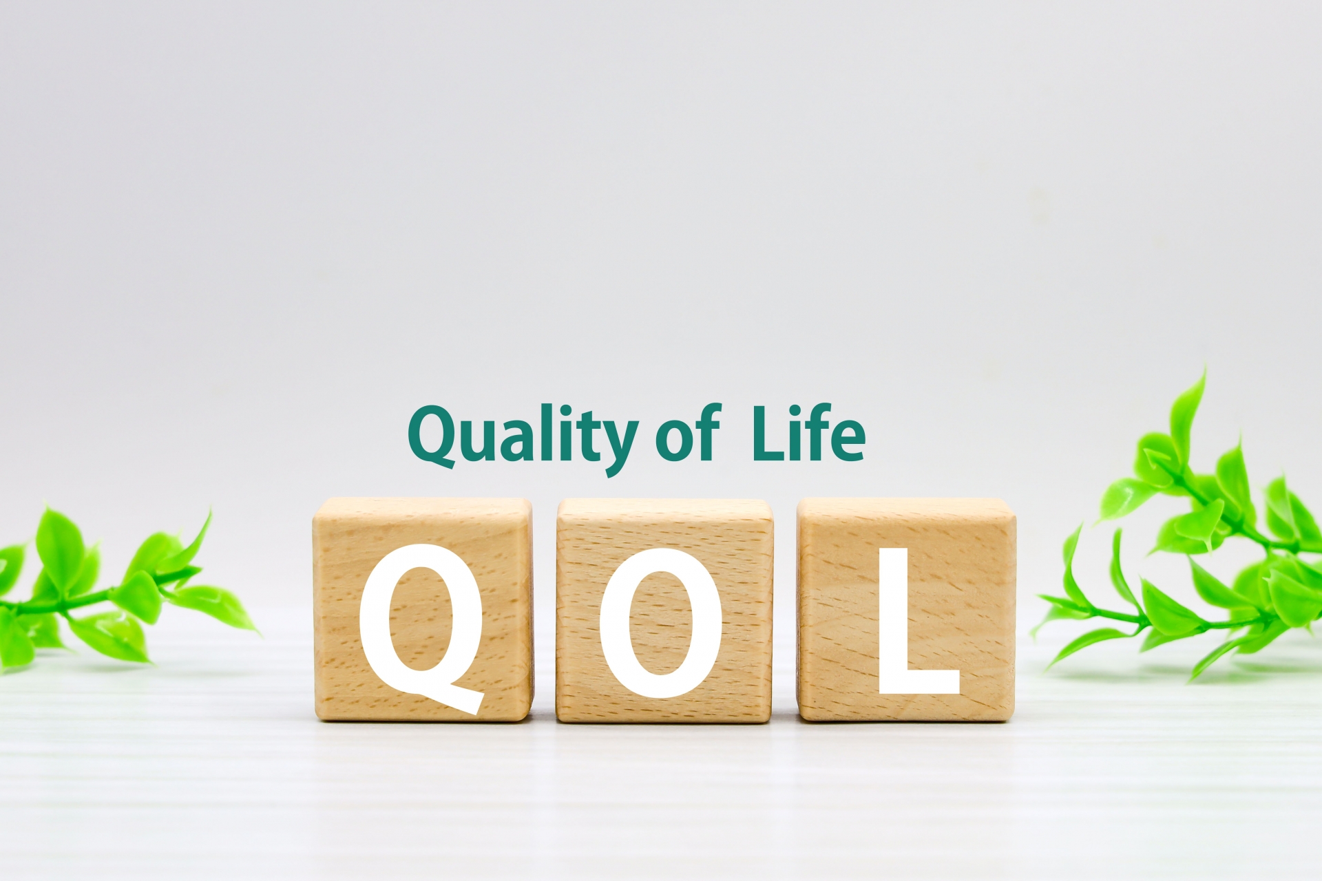 QOL 心豊かに生きるための基盤