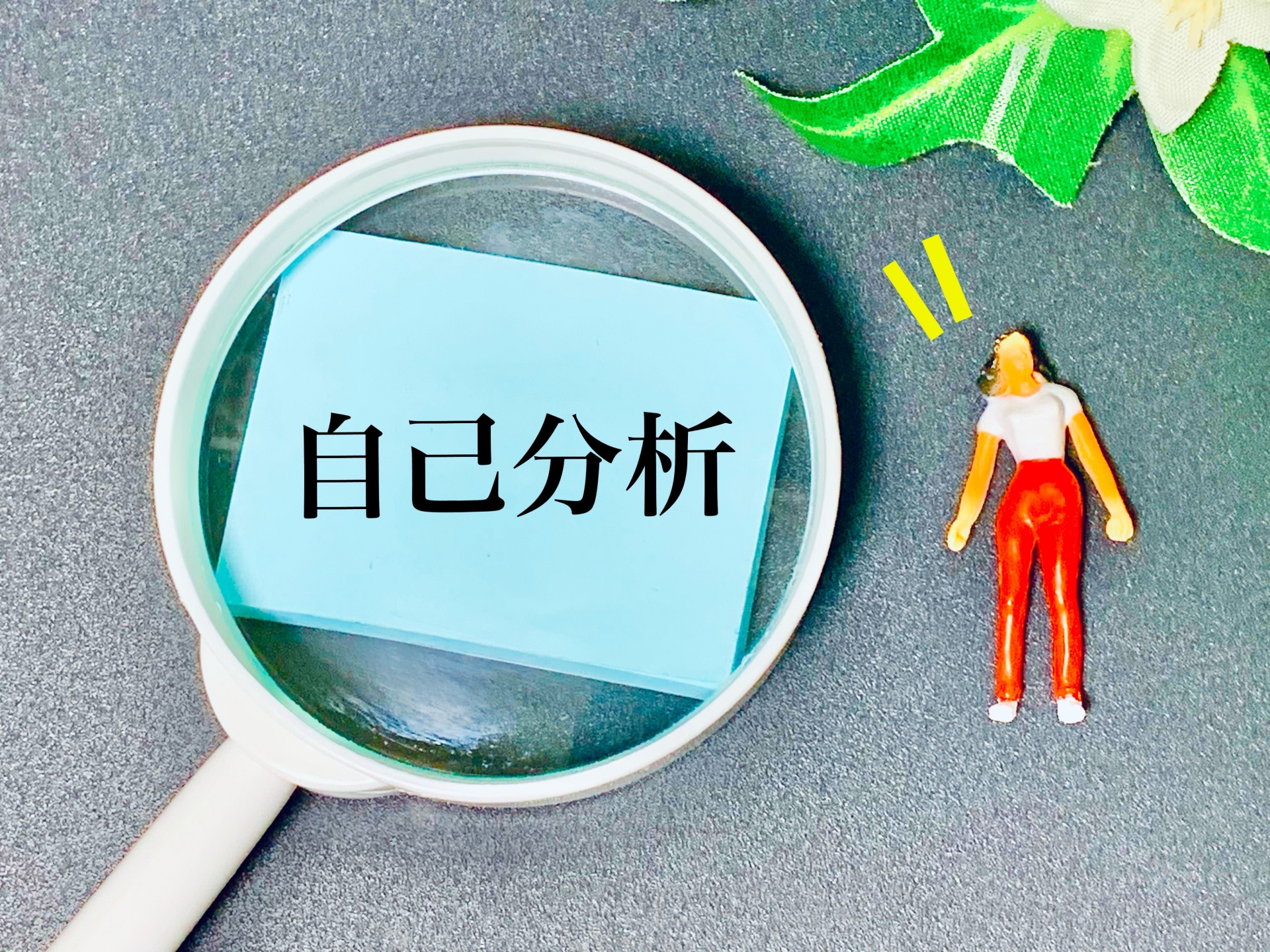 自己分析の文字画像