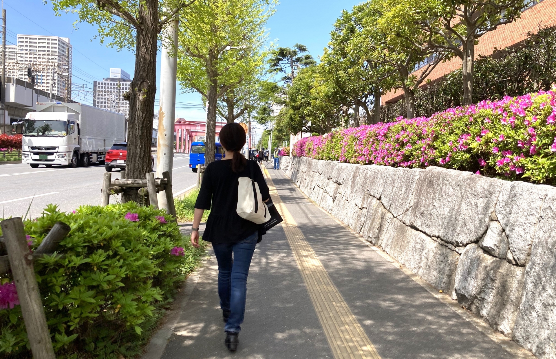 天気がいいから散歩も気持ちがいいね