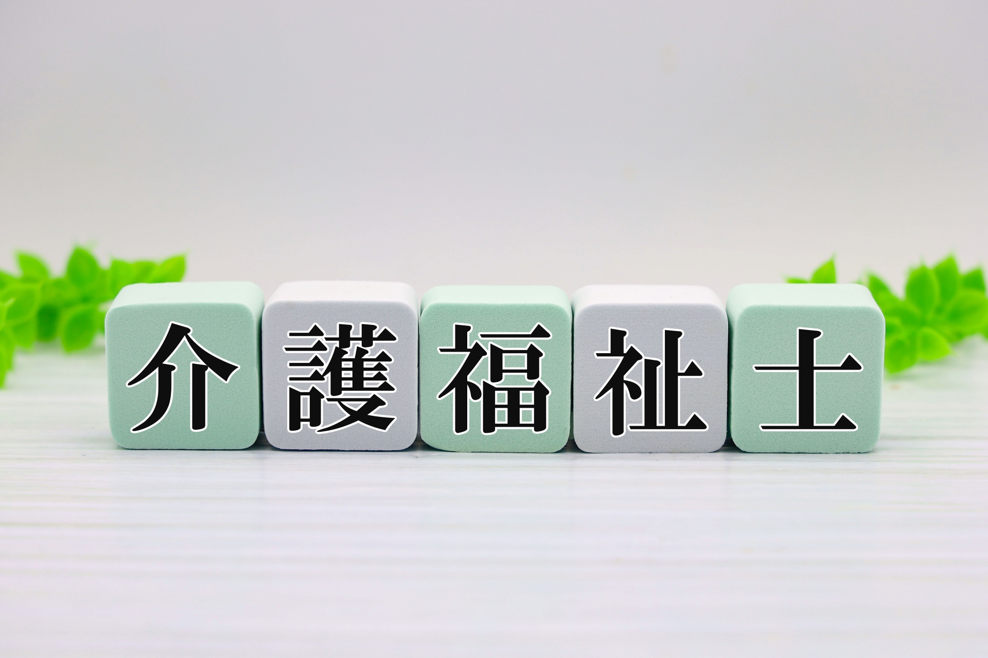 介護福祉士文字画像