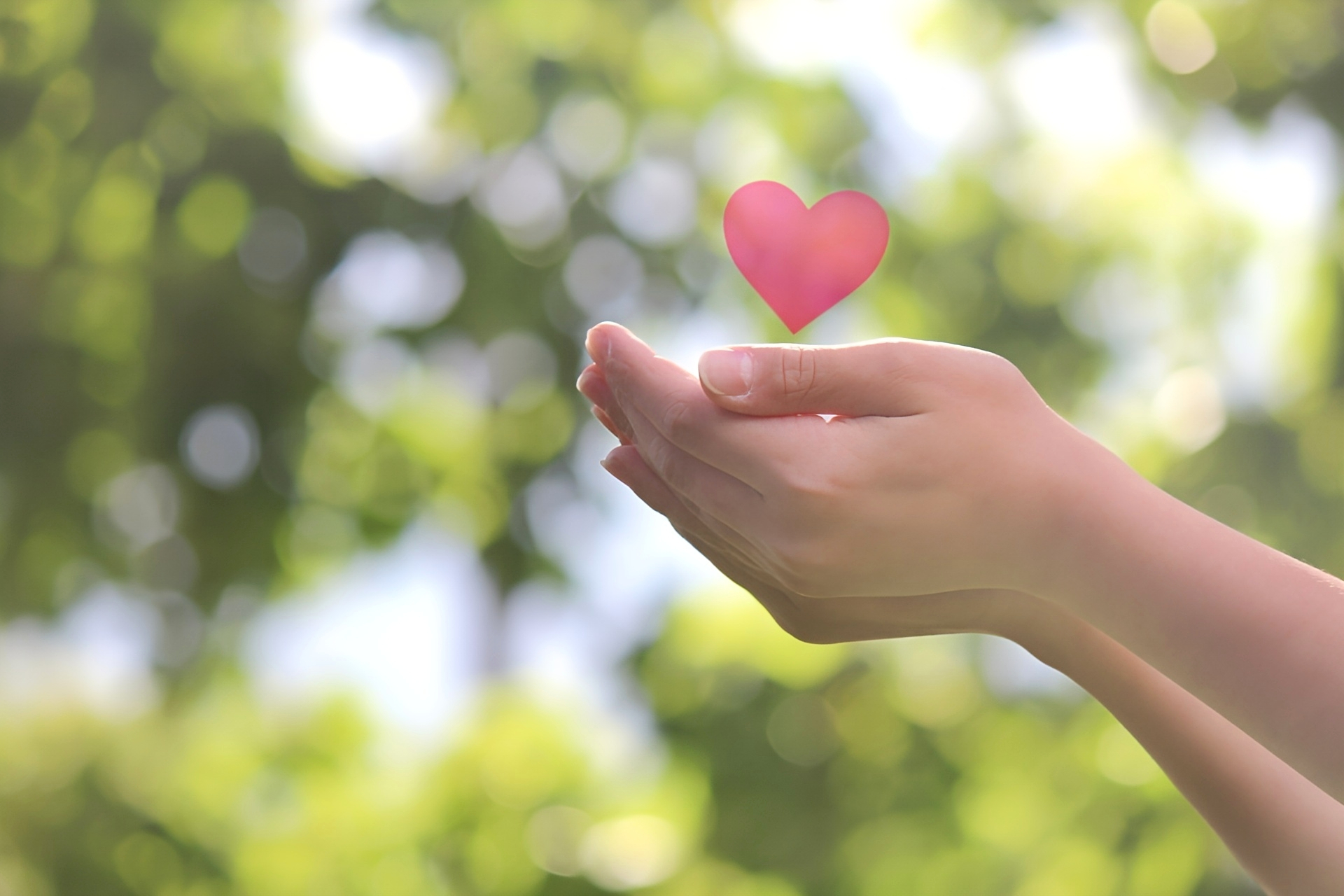 ハートと手（緑背景）