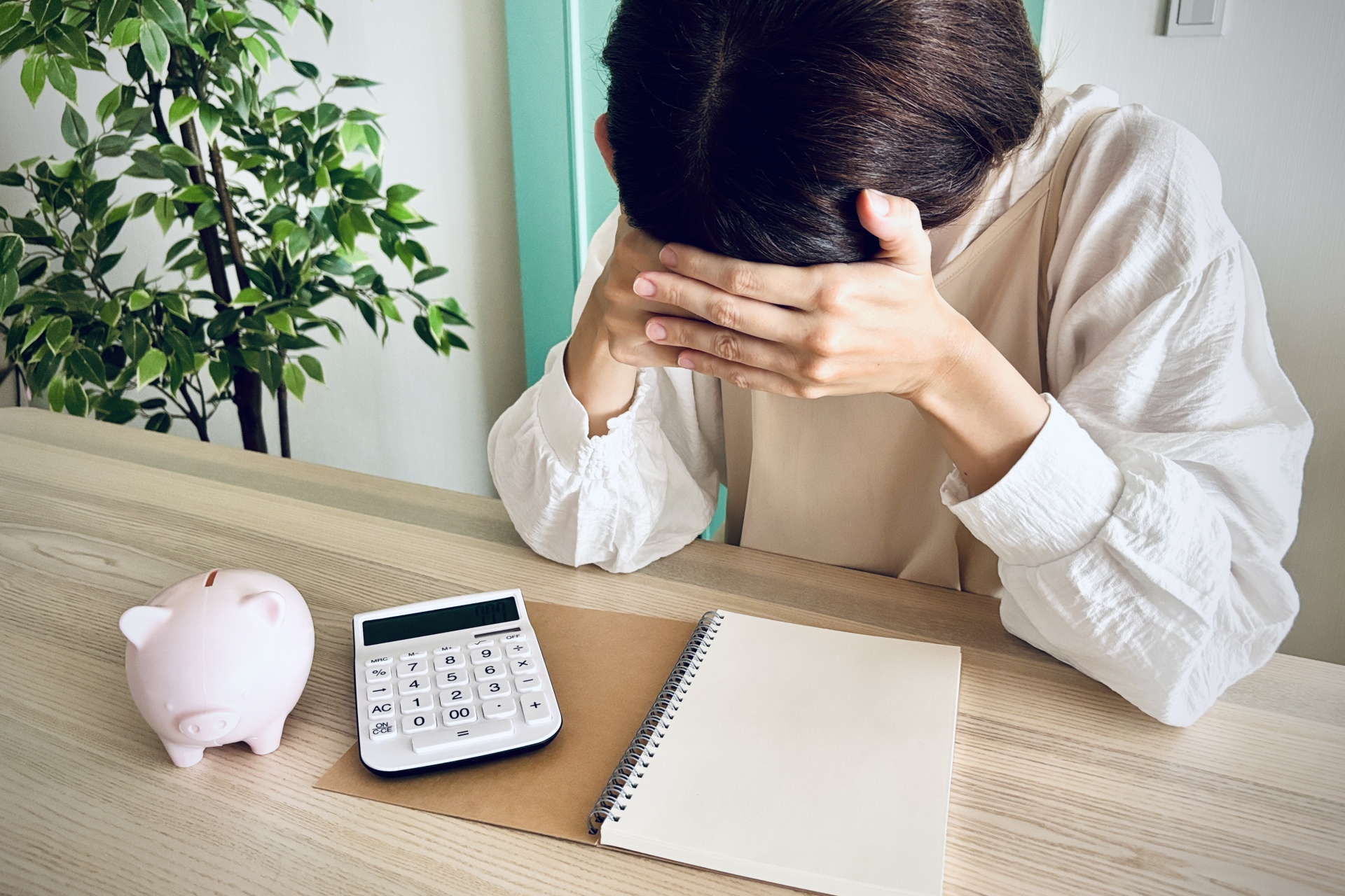 物価高に頭を抱える主婦