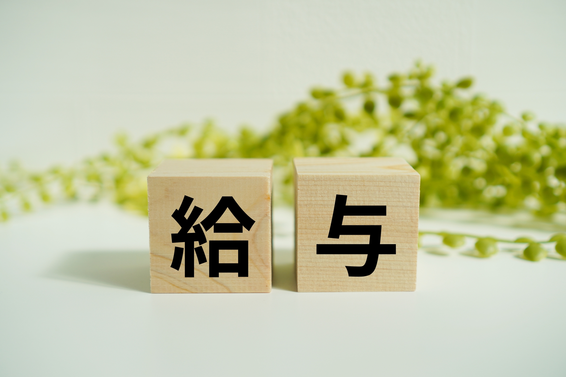 木製ブロックに『給与』の文字
