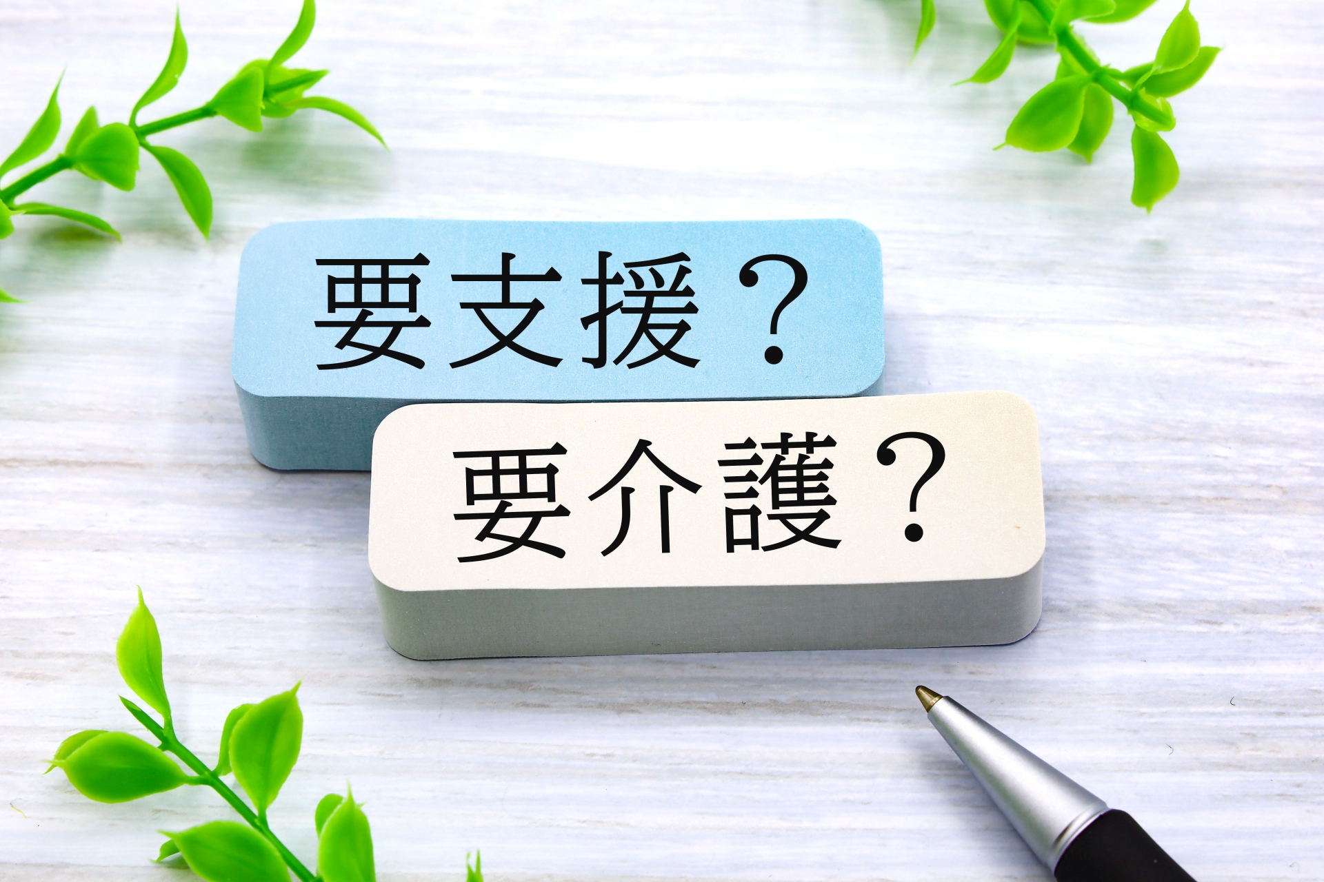 要支援と要介護