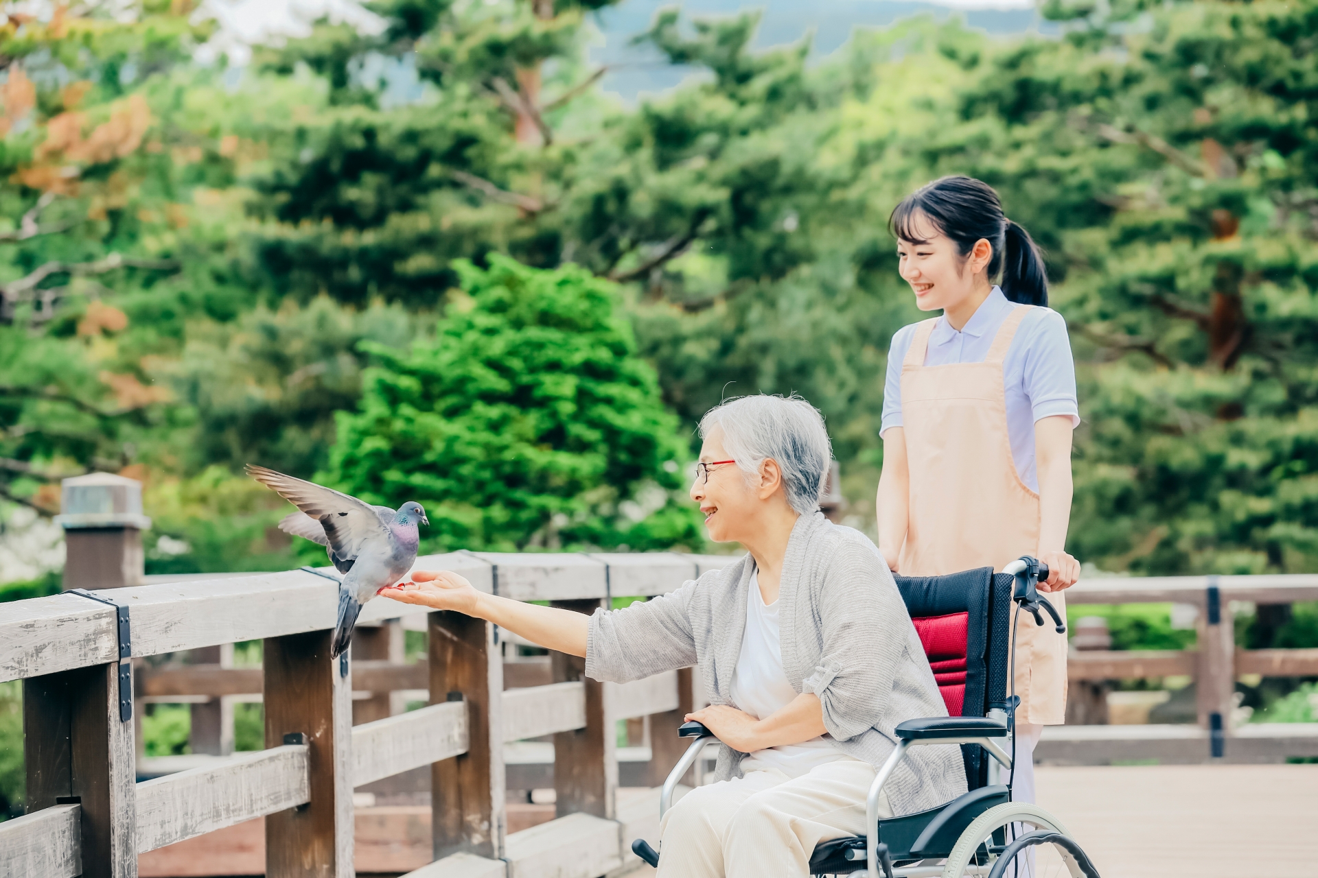 高齢者と介護士