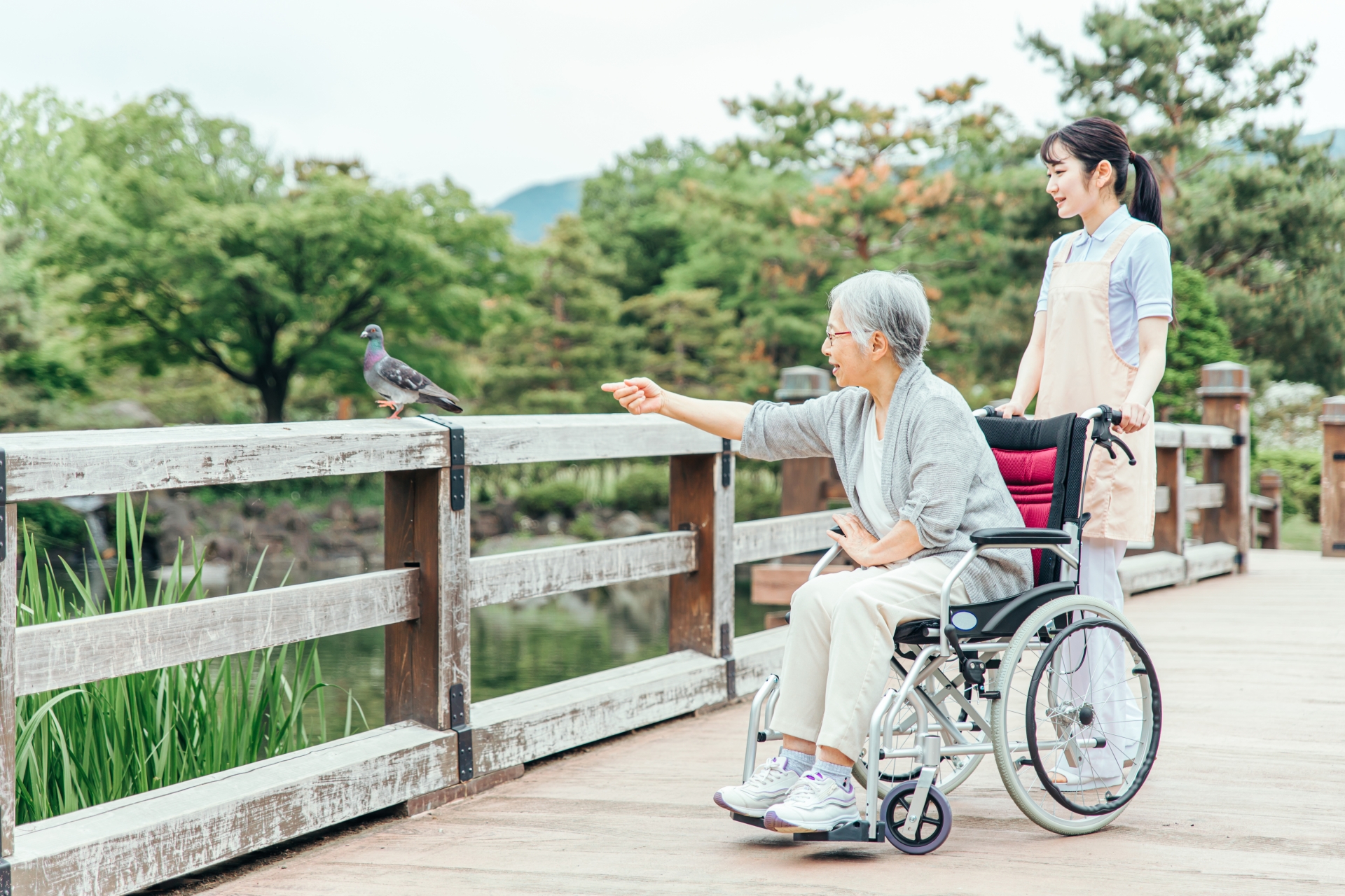 公園を散歩