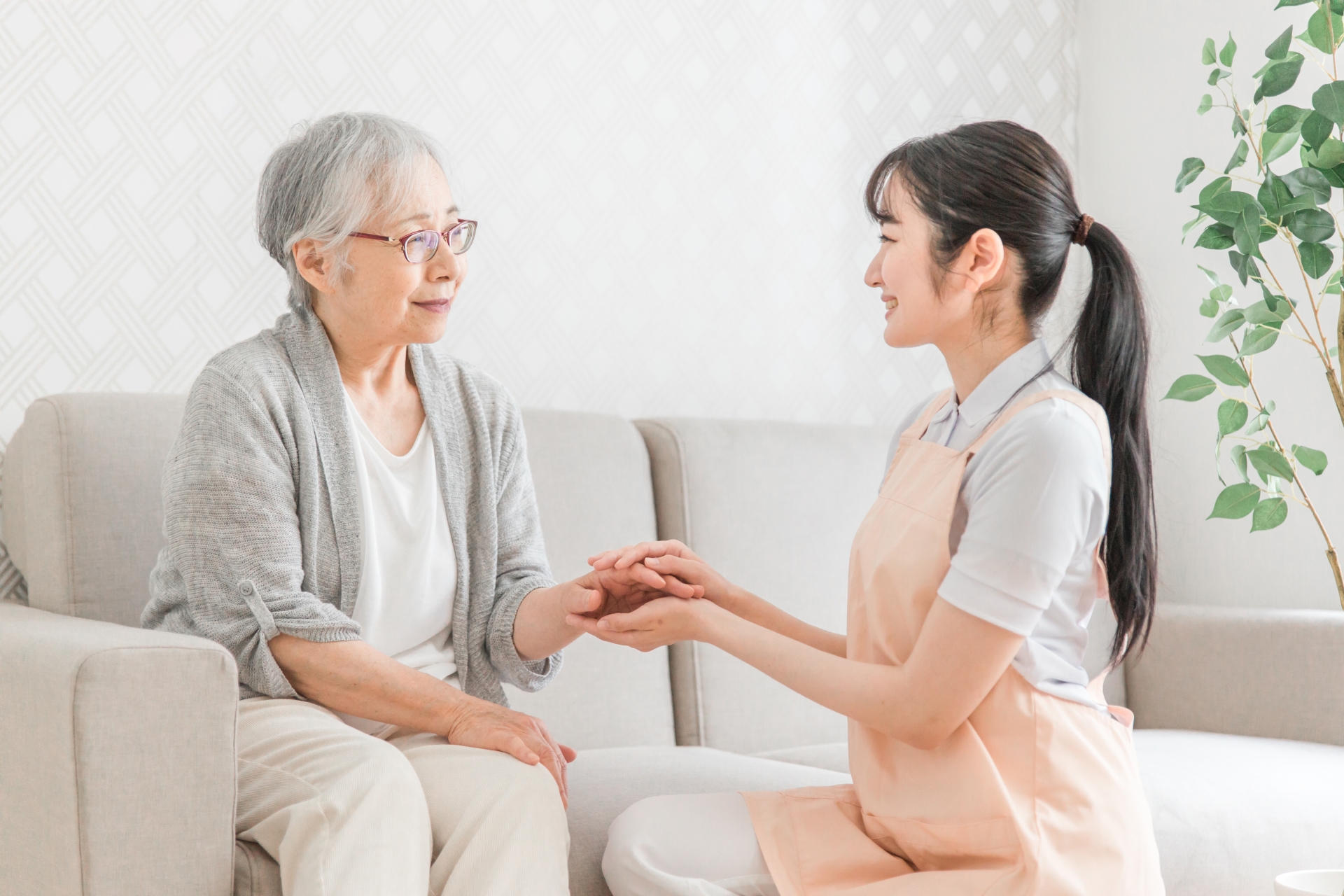ソファに座る高齢者の手をとる若い介護士