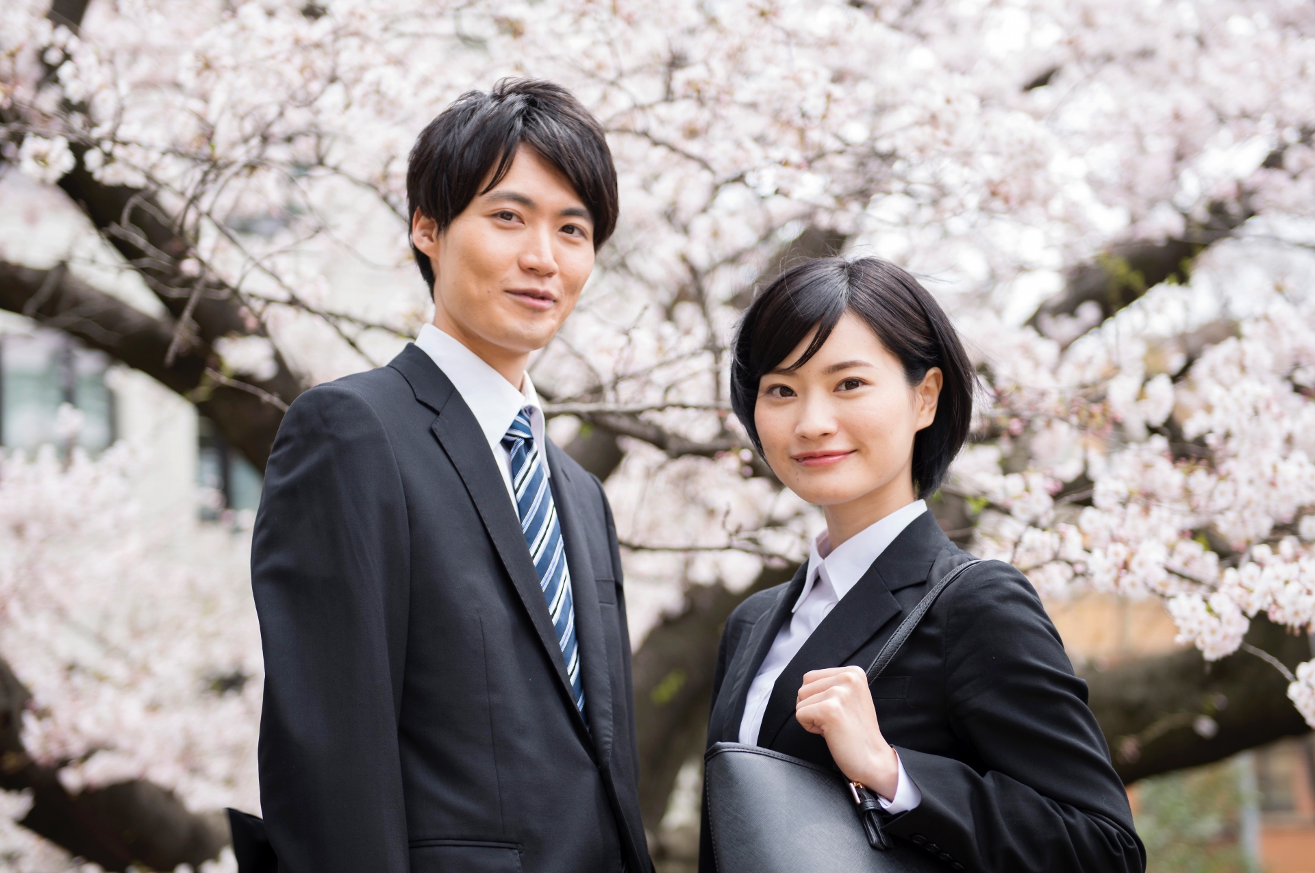 桜と就活生54