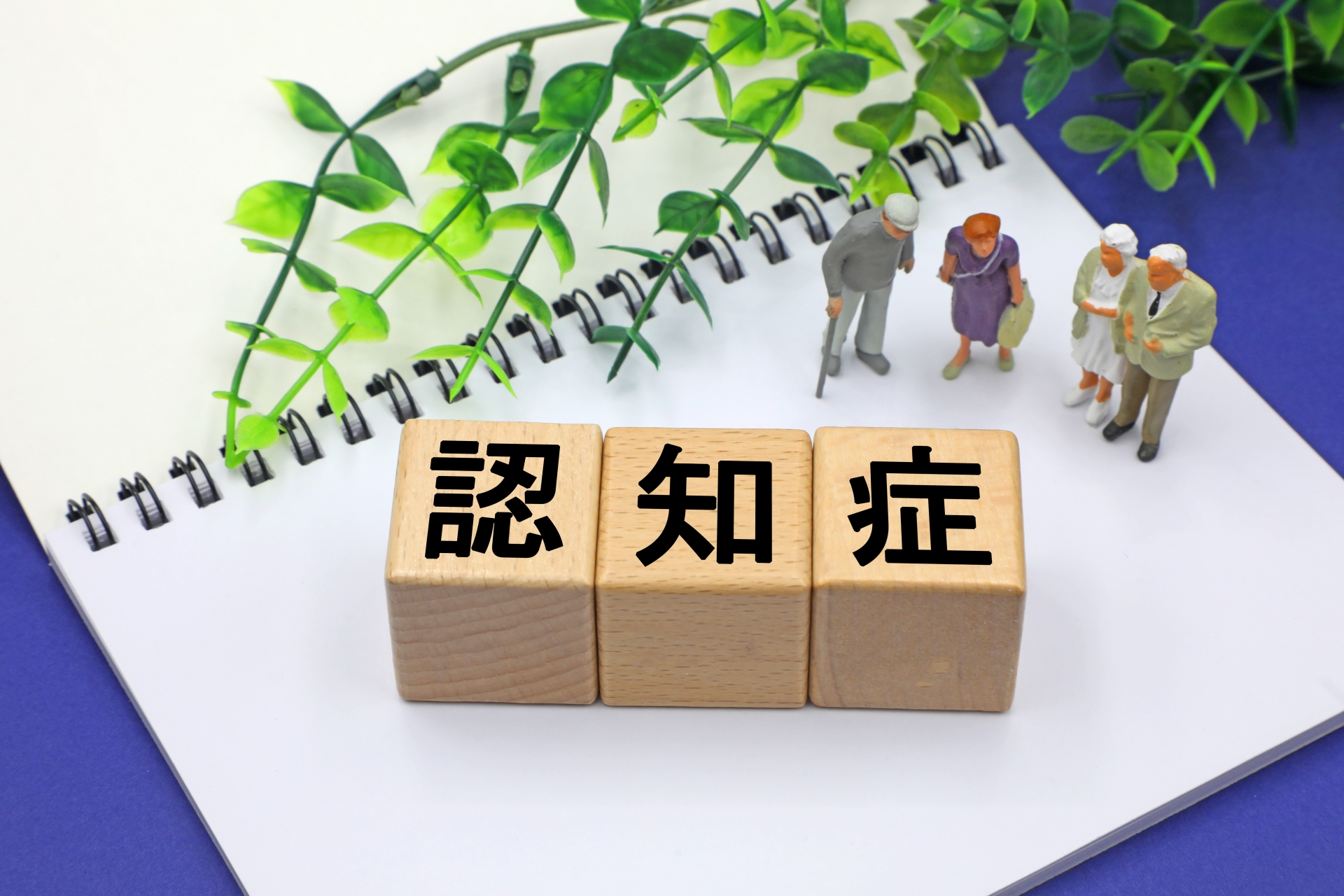 認知症のイメージ