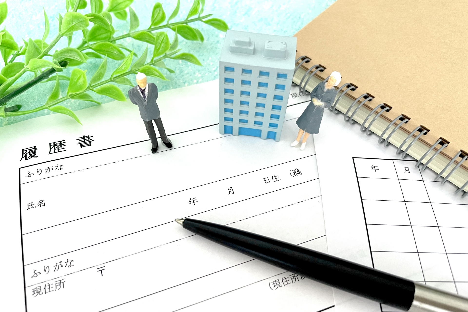 シニアの就職活動　シニア活用と履歴書