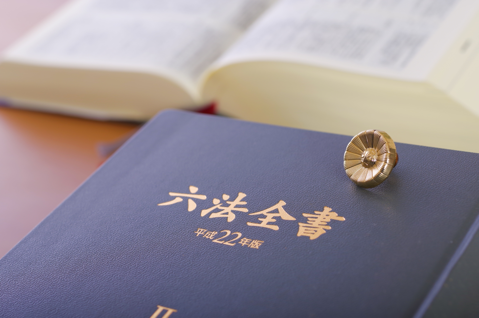 六法全書と弁護士バッチ