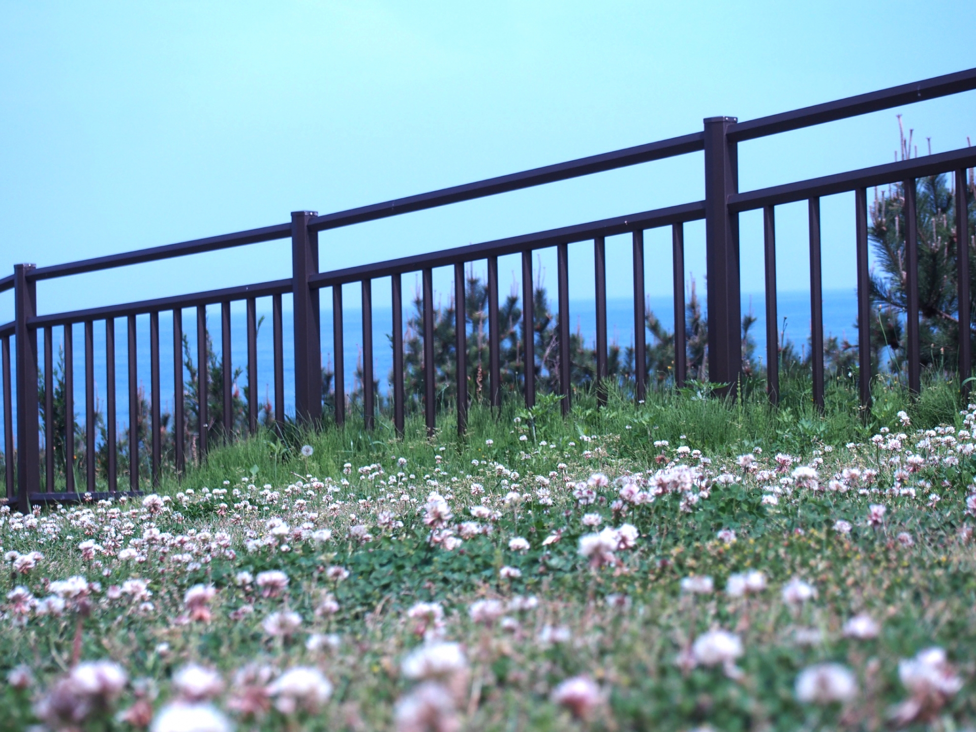 鹿島灘海浜公園