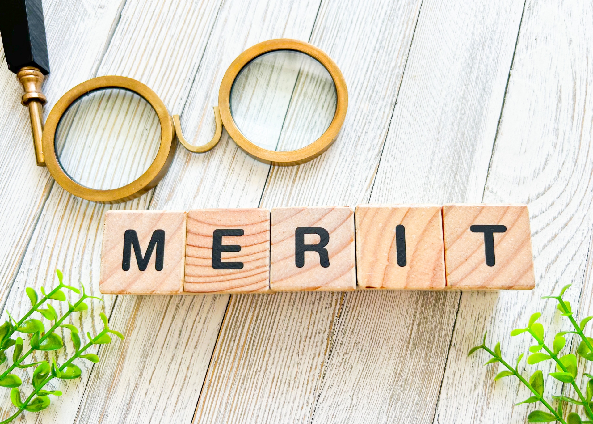 MERIT メリットは?
