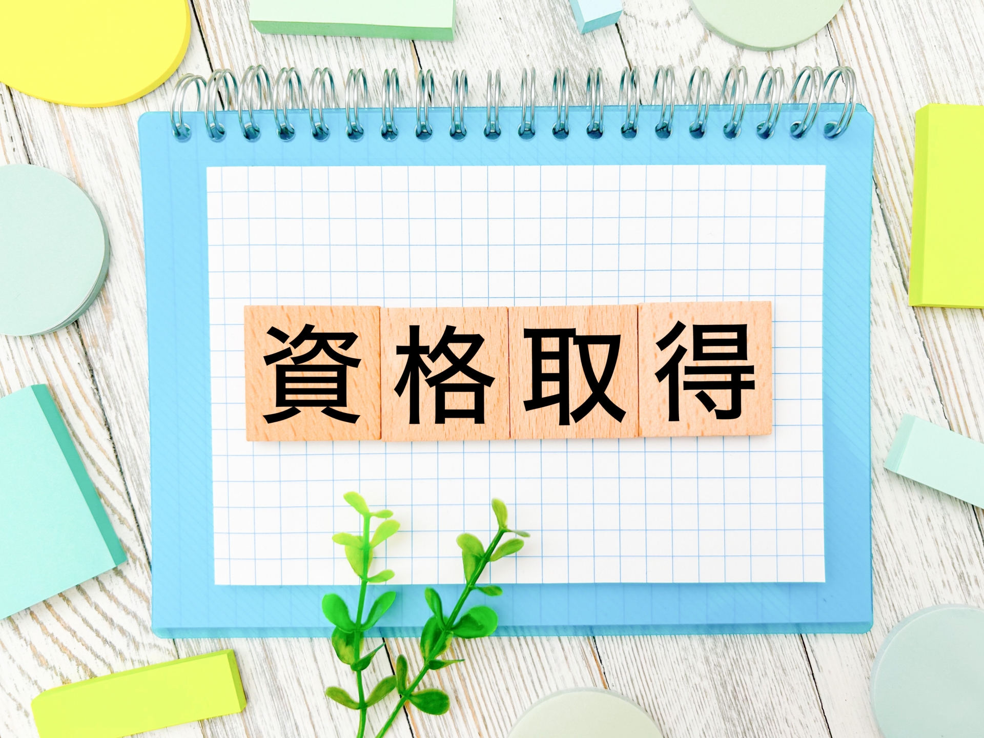 資格取得