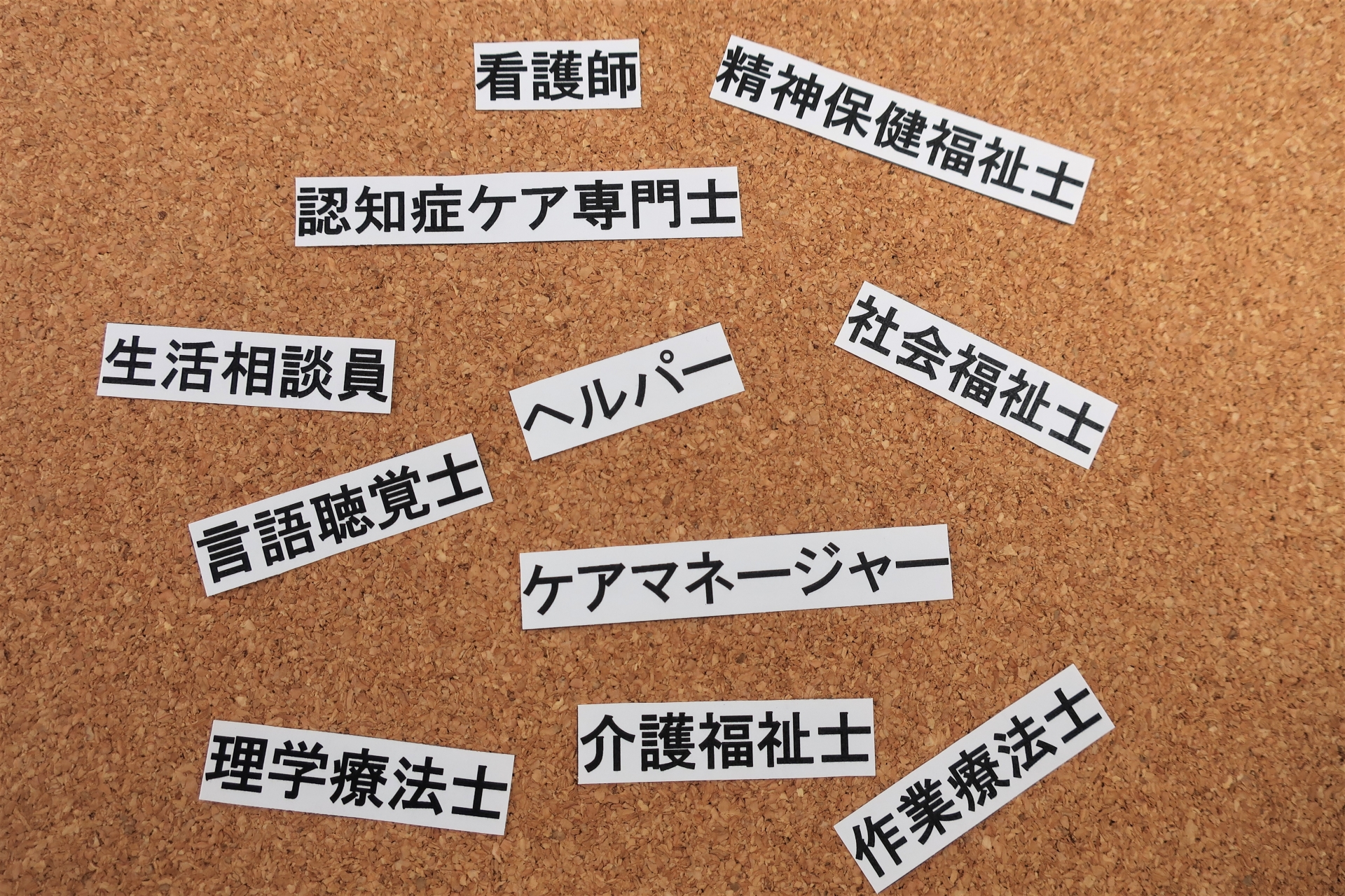 介護保険 職種