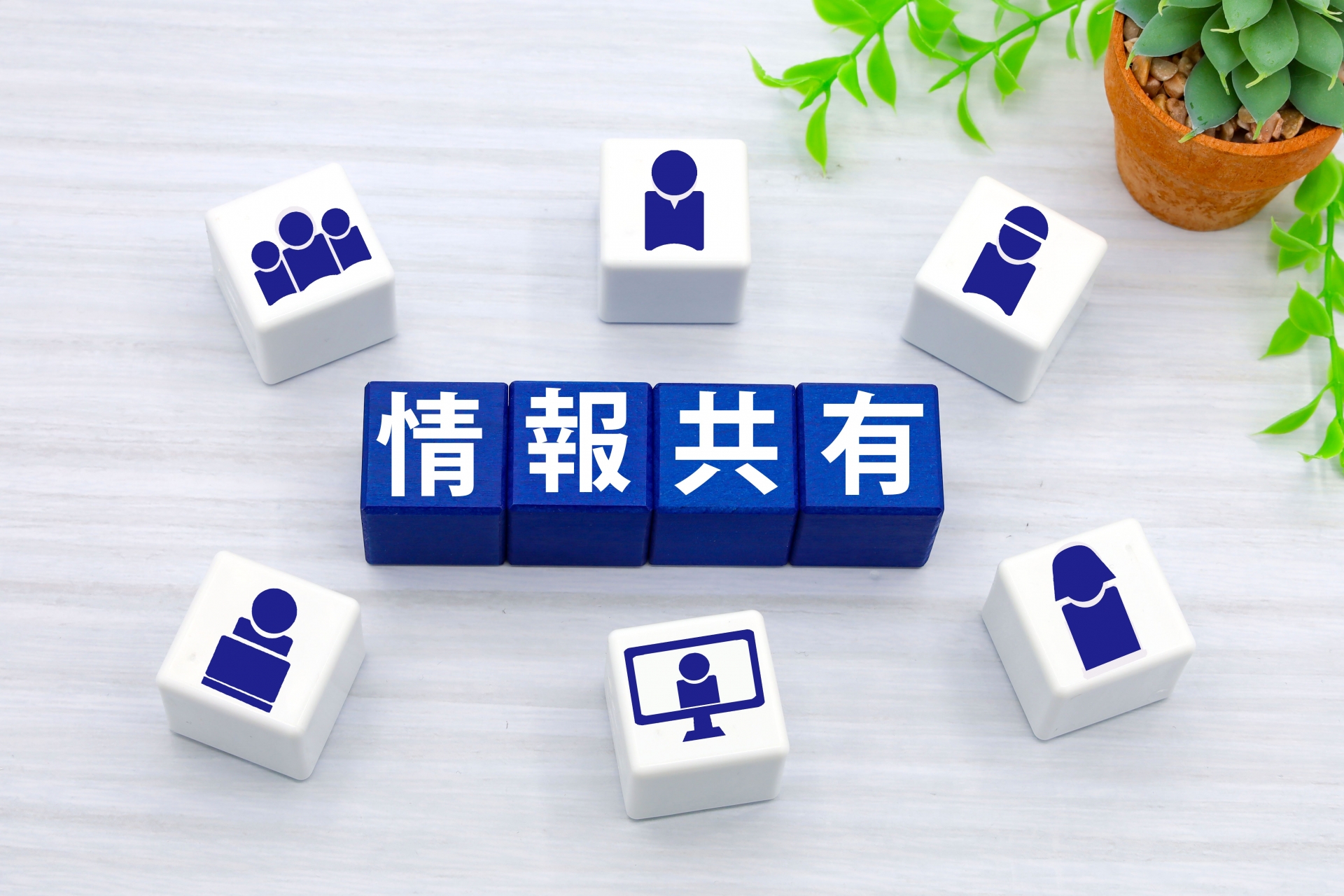 情報共有の青い文字ブロック